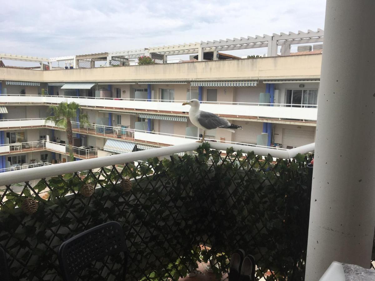 Superbe Appartement Avec Solarium Et Piscine Communautaire Roses Exterior photo